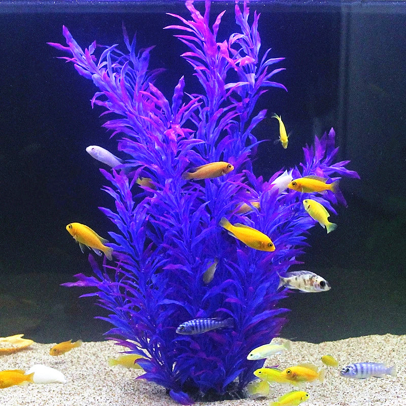 50CM Artificial Fish Tank Rare - Aquarium Plant Delivery ulasan dan harga