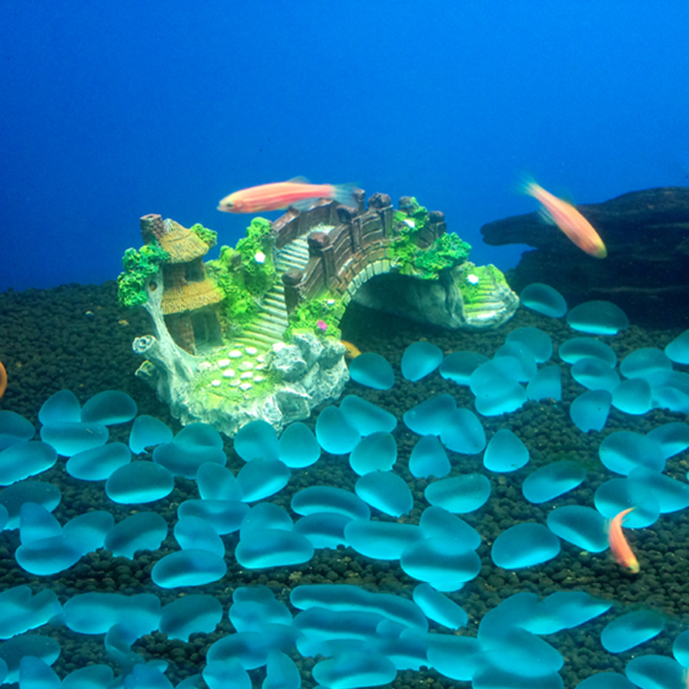 Aquarium Accessories Arbor Tre - Planted Aquarium With Rocks ulasan dan harga
