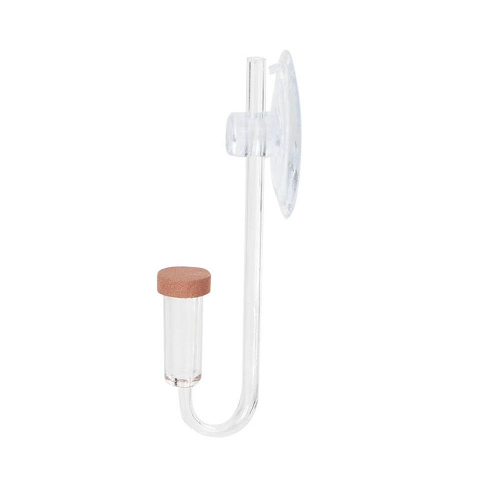 Acrylic Mini Fish Tank Live Pl - Aquarium Plant Delivery ulasan dan harga