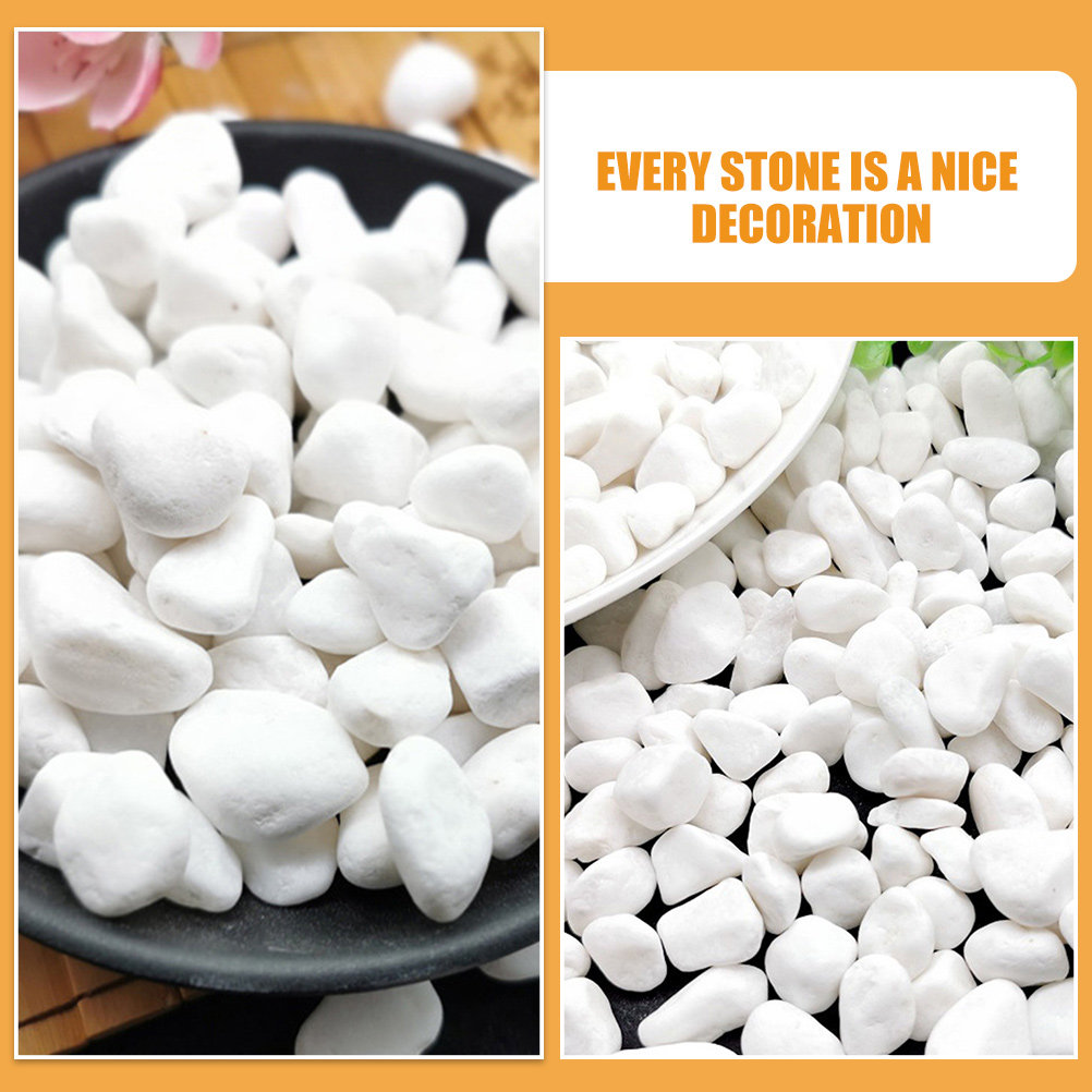 1Set Elegant White Decorative  - Planted Aquarium With Rocks ulasan dan harga