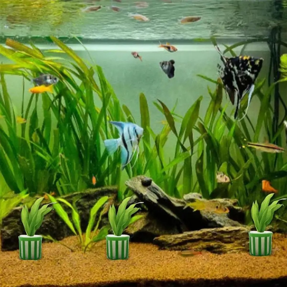 ABNQ Aquatic Plant Fixed Holde - Planted Aquarium Tool Kit ulasan dan harga