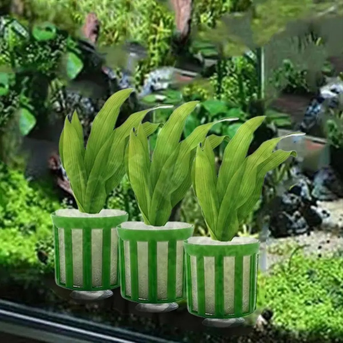 ABNQ Aquatic Plant Fixed Holde - Planted Aquarium Tool Kit ulasan dan harga
