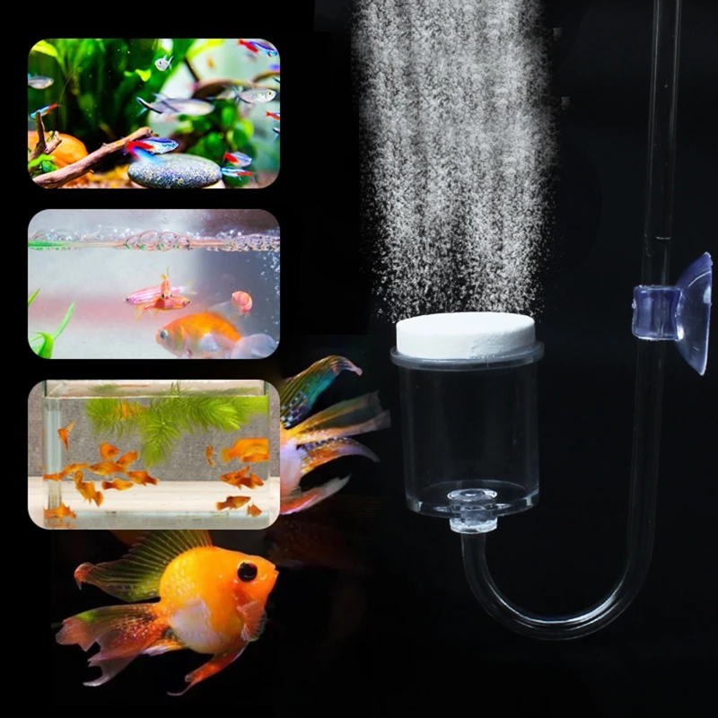 4pcs Set DIY CO2 Diffuser For  - Aquarium Plant Delivery ulasan dan harga